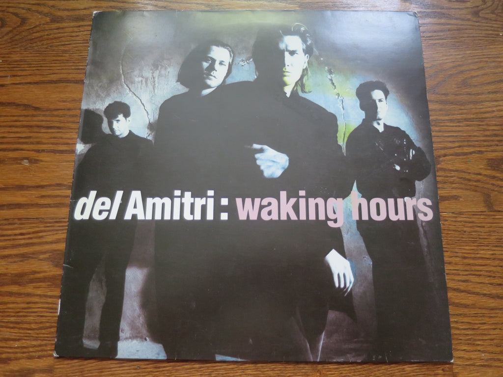 Del Amitri - Waking Hours - LP UK Vinyl Album Record Cover