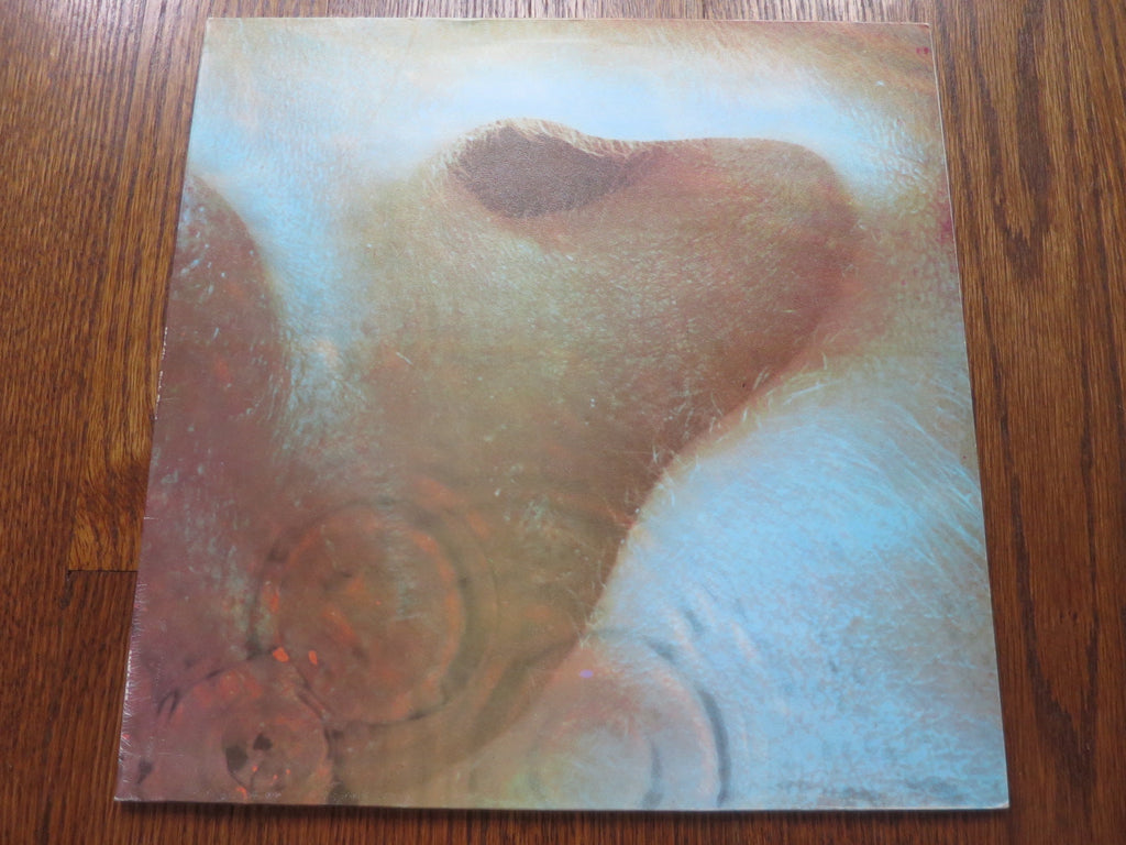 Pink Floyd - Meddle (reissue) 2two - LP UK Vinyl Album Record Cover