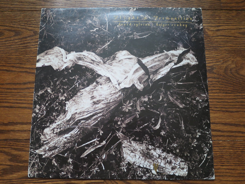 David Sylvian & Holger Czukay - Plight & Premonition 2two - LP UK Vinyl Album Record Cover