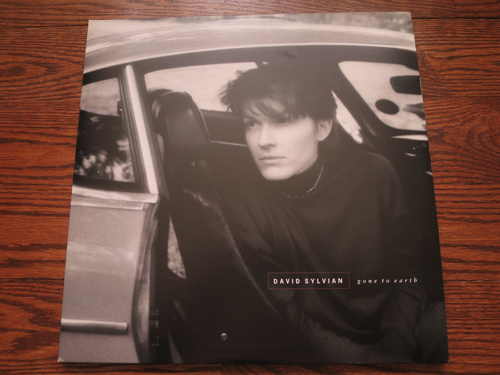 David Sylvian - Gone To Earth (reissue) - LP UK Vinyl Album Record Cover