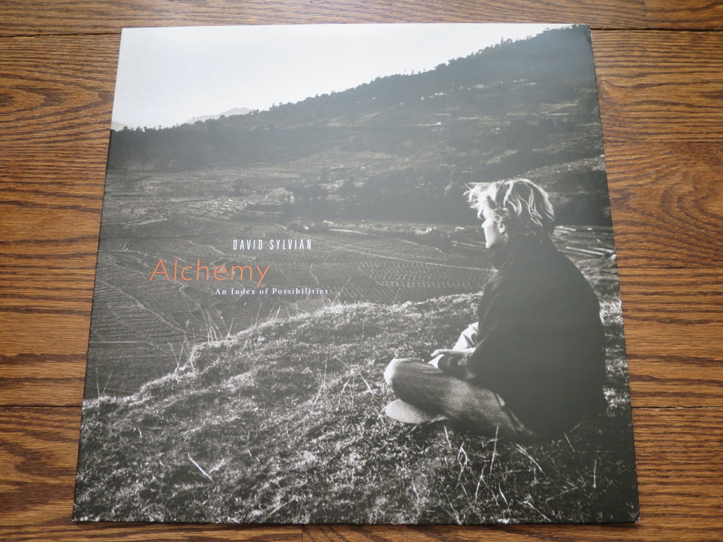 David Sylvian - Alchemy - An Index of Possibilities - LP UK Vinyl Album Record Cover