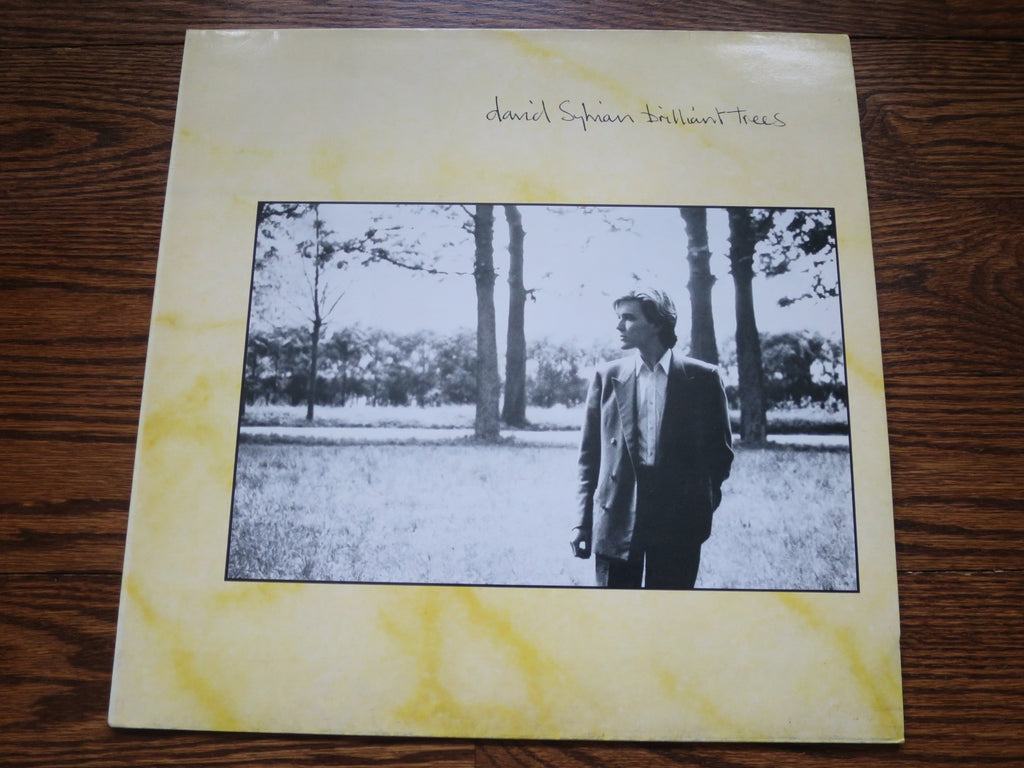 David Sylvian - Brilliant Trees 2two - LP UK Vinyl Album Record Cover