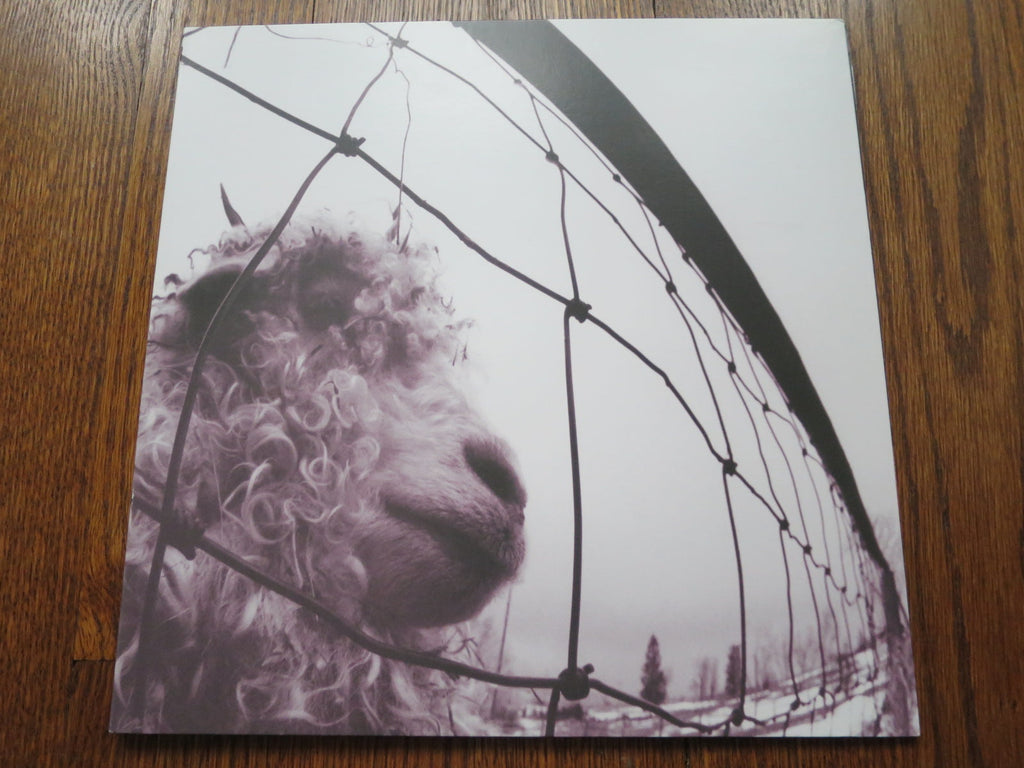 Pearl Jam - Vs - LP UK Vinyl Album Record Cover
