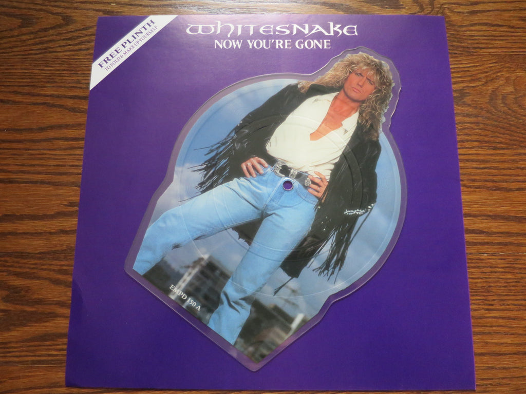 Whitesnake - Now You're Gone (picture disc) & Still Of The Night - LP UK Vinyl Album Record Cover