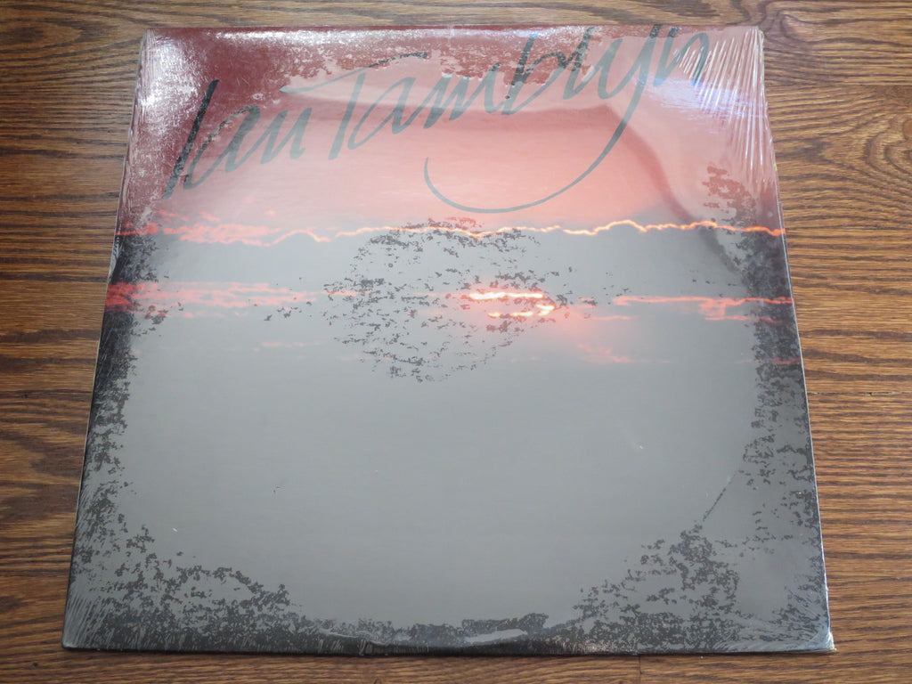 Ian Tamblyn - Ian Tamblyn - LP UK Vinyl Album Record Cover