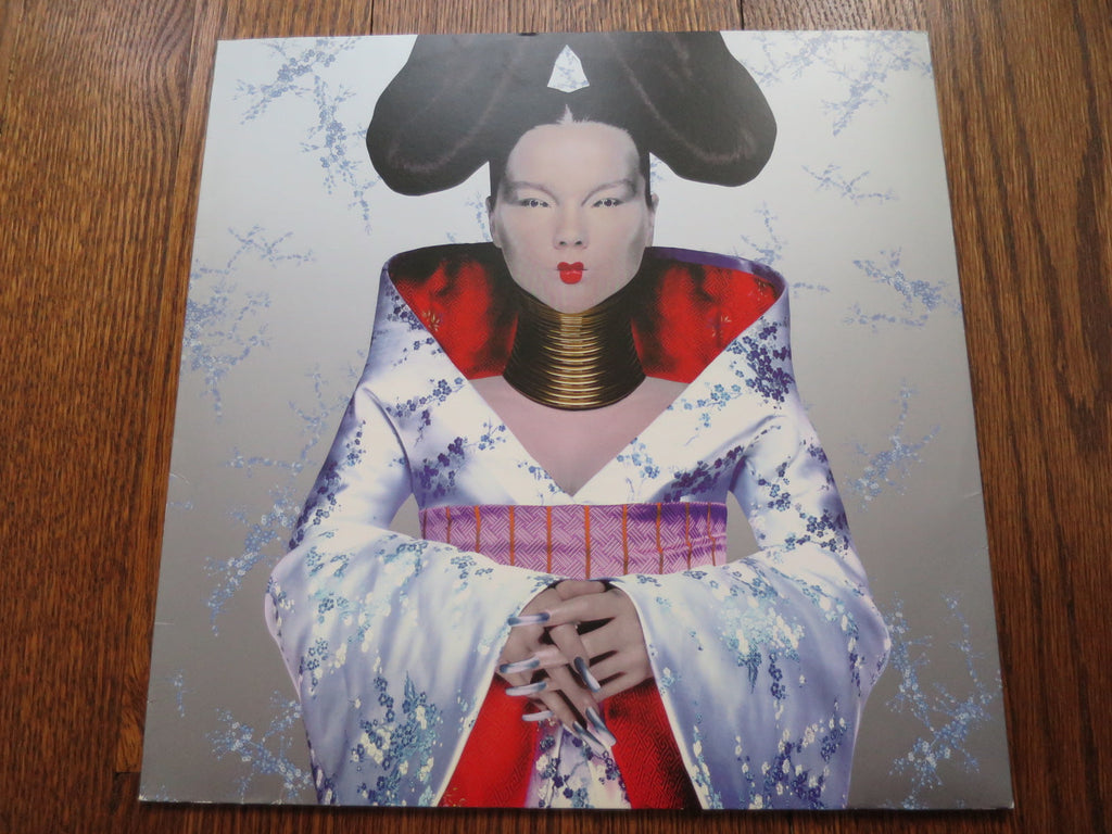 Bjork - Homogenic - LP UK Vinyl Album Record Cover