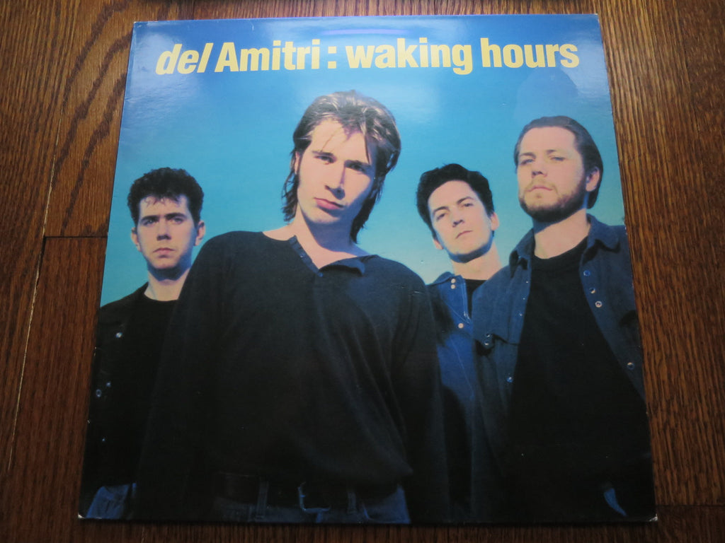 Del Amitri - Waking Hours - LP UK Vinyl Album Record Cover