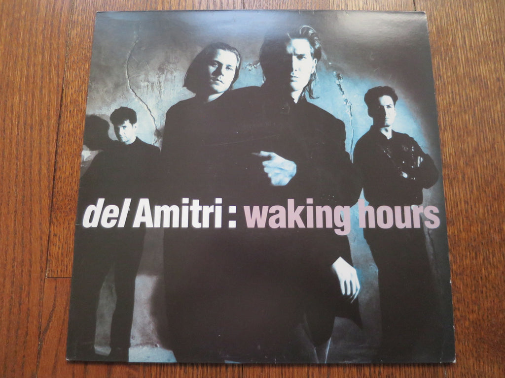 Del Amitri - Waking Hours - LP UK Vinyl Album Record Cover