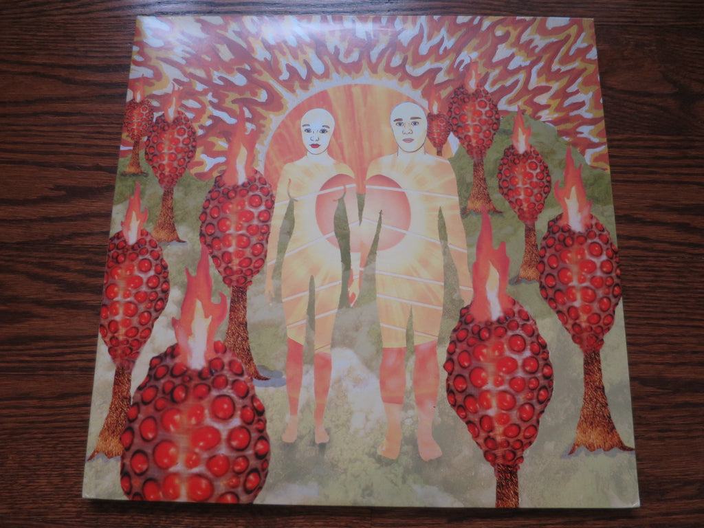 Of Montreal - Sunlandic Twins - LP UK Vinyl Album Record Cover