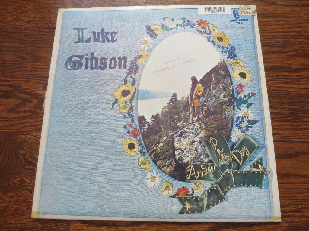 Luke Gibson - Another Perfect Day - LP UK Vinyl Album Record Cover