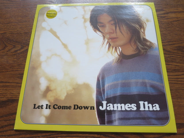 James Iha - Let It Come Down - LP UK Vinyl Album Record Cover