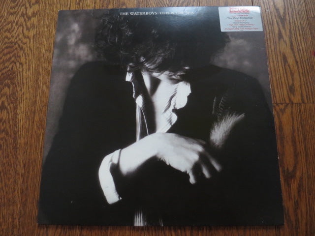 The Waterboys - This Is The Sea (audiophile) - LP UK Vinyl Album Record Cover